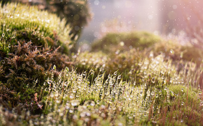 Similar image 21560844