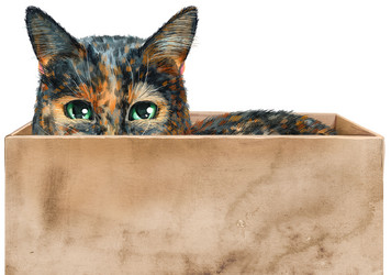 Similar image 21561911