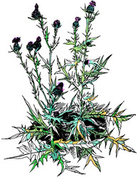 Similar image 21561912