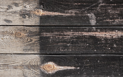 Similar image 21609081