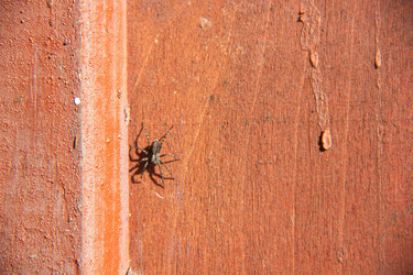 Similar image 21561229