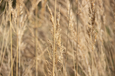 Similar image 21561236