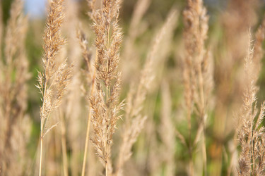 Similar image 21561238