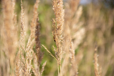 Similar image 21561239