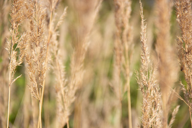 Similar image 21561240