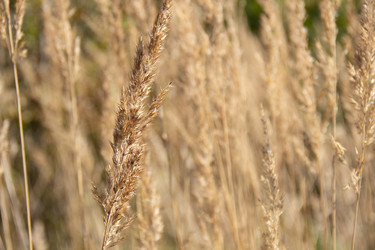 Similar image 21561241