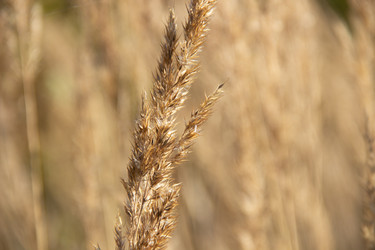 Similar image 21561242