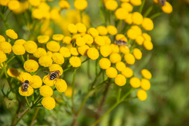 Similar image 21561244