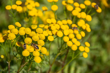 Similar image 21561245