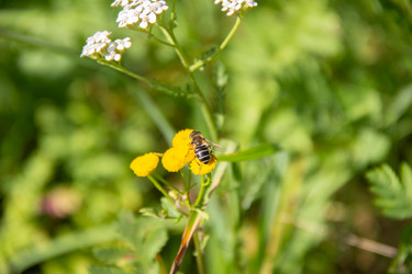 Similar image 21561246