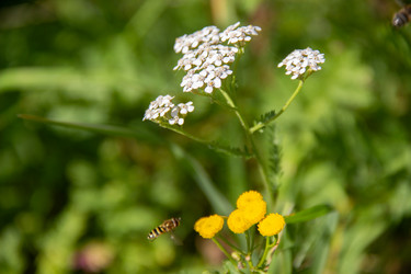 Similar image 21561247