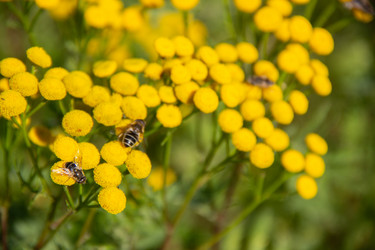 Similar image 21561248