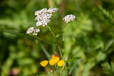 Similar image 21561250