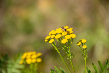 Similar image 21561251