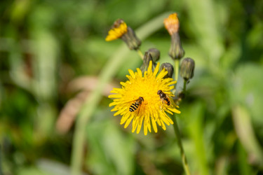 Similar image 21561252