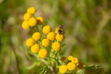 Similar image 21561253