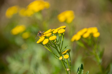 Similar image 21561254