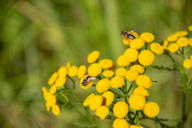 Similar image 21561256