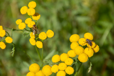 Similar image 21561258