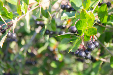 Similar image 21561260