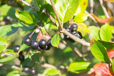 Similar image 21561261