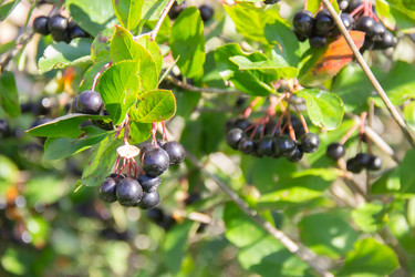 Similar image 21561262