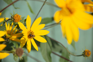 Similar image 21561266