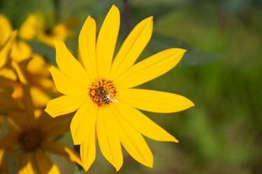 Similar image 21561269