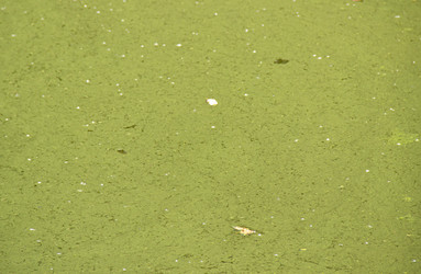 Similar image 21561271