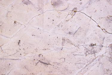 Similar image 21561278