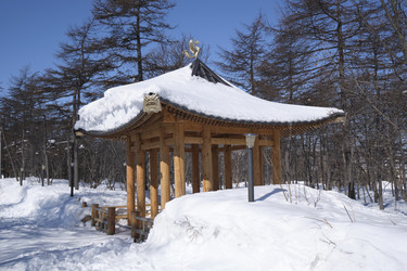 Similar image 21561285