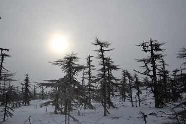 Similar image 21561286