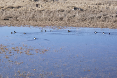 Similar image 21561287