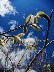 Similar image 21561290