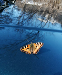 Similar image 21561291