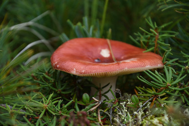 Similar image 21561296