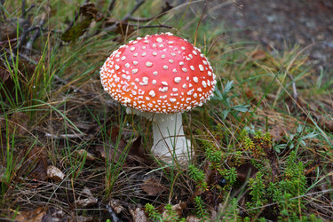 Similar image 21561297