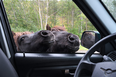 Similar image 21561299