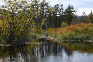 Similar image 21561302