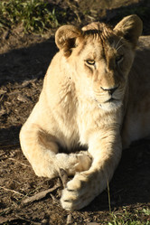 Similar image 21563265