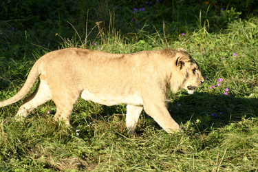 Similar image 21563269