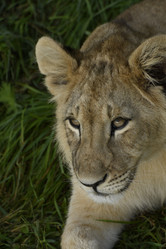 Similar image 21563271