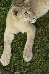 Similar image 21563272