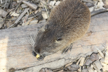 Similar image 21564127