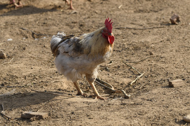 Similar image 21564129