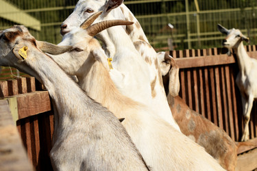 Similar image 21564130