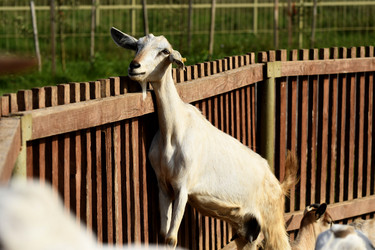 Similar image 21564131