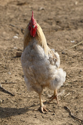 Similar image 21608644