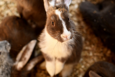 Similar image 21608645