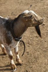 Similar image 21608646